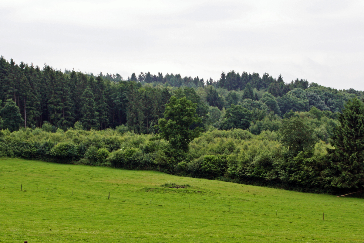 Grube Käusersteimel